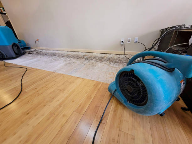 Professional Ceiling Water Damage Repair technician working in Blue Jay, OH