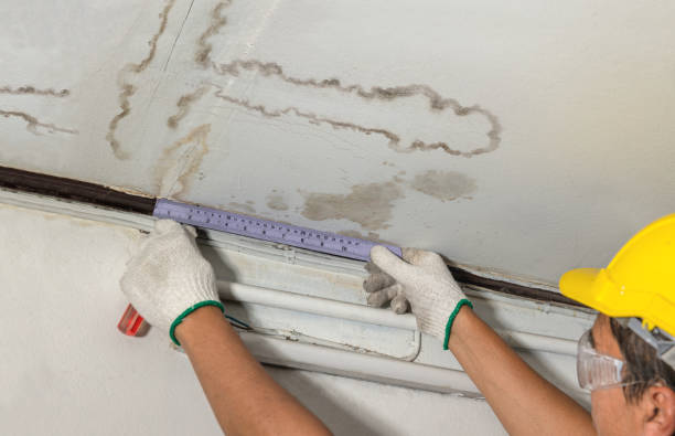 Affordable Ceiling Water Damage Repair solutions in Blue Jay, OH